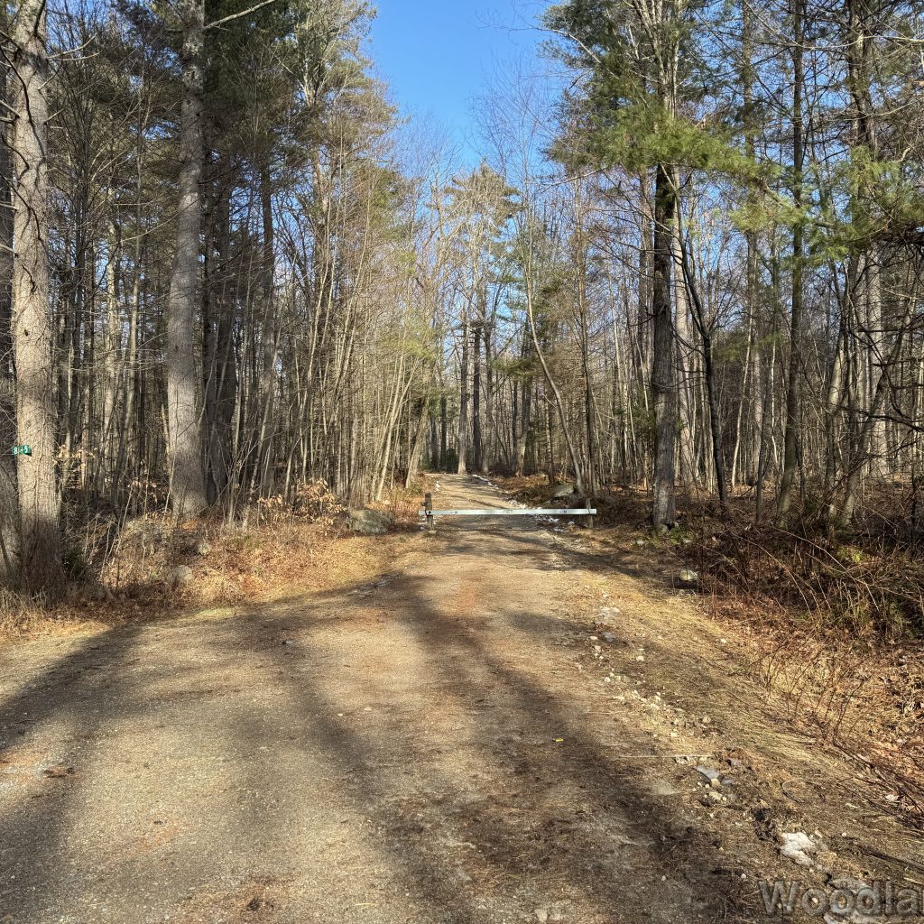 2025-12-20_123347_00