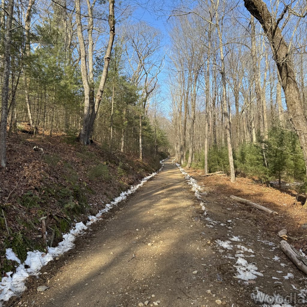 2025-12-20_124003_00