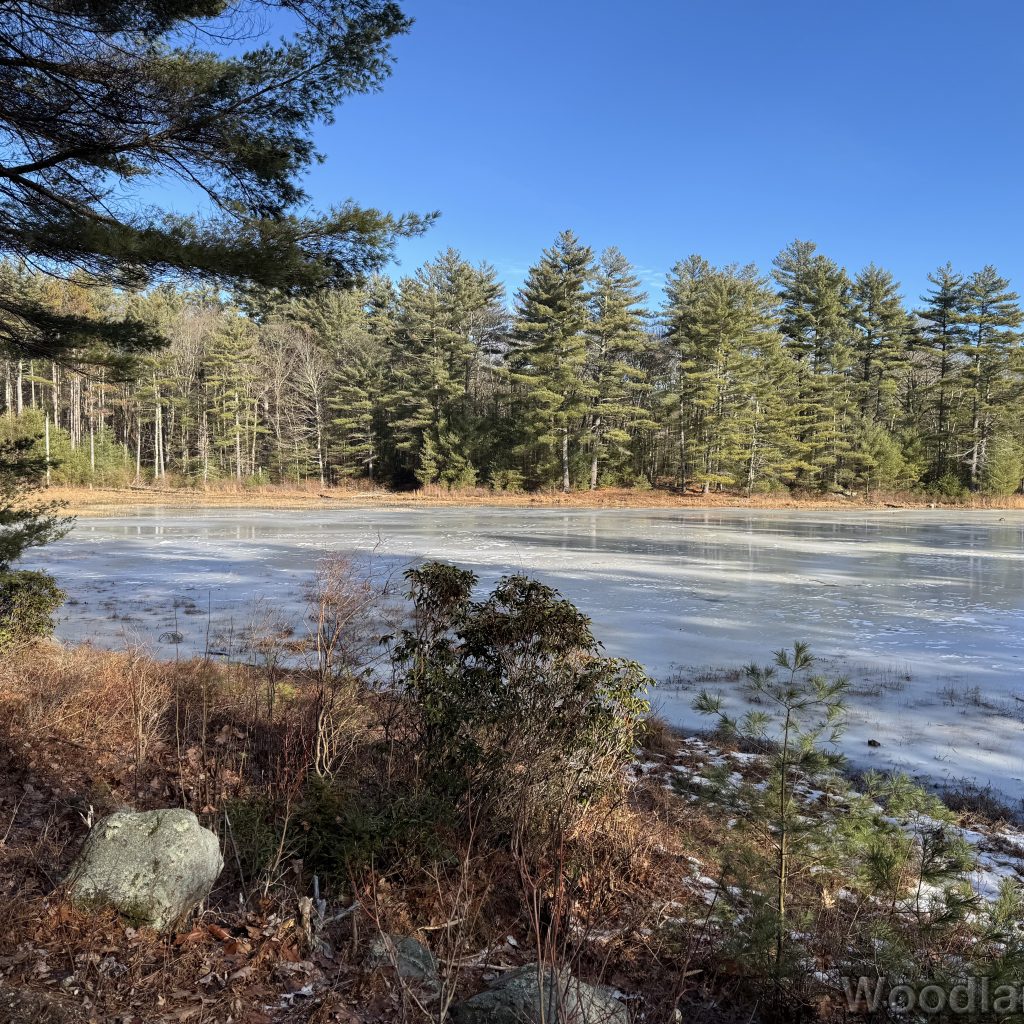 2025-12-20_124827_00