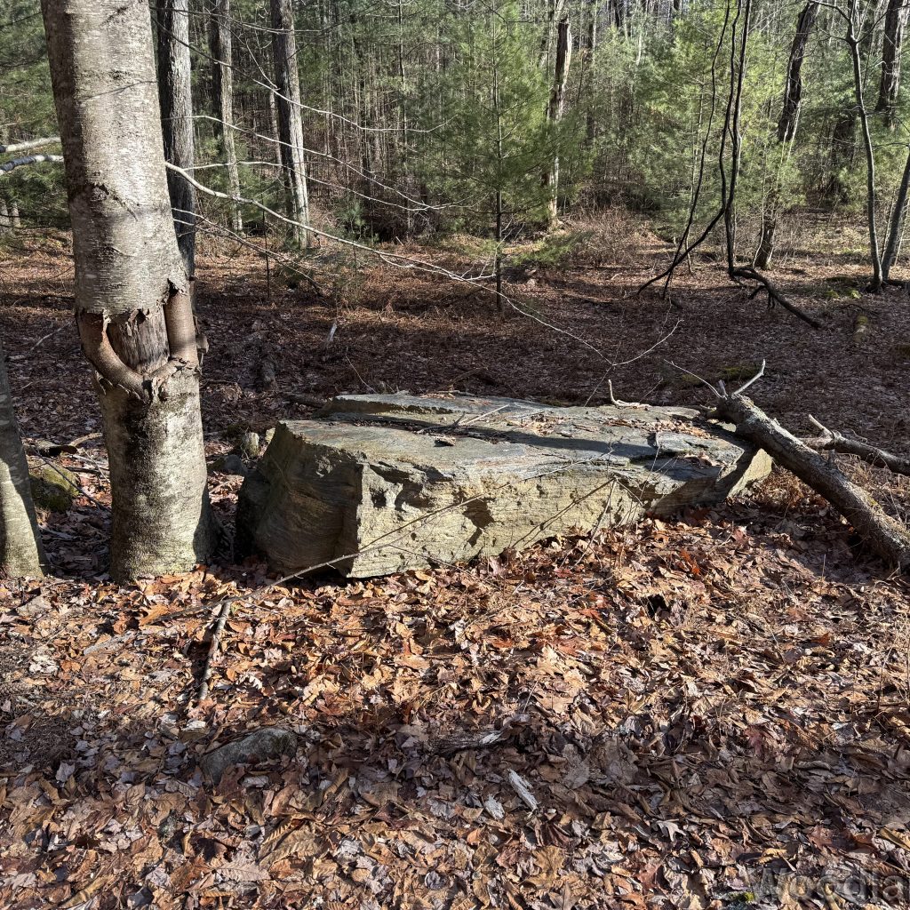 2025-12-20_125112_00