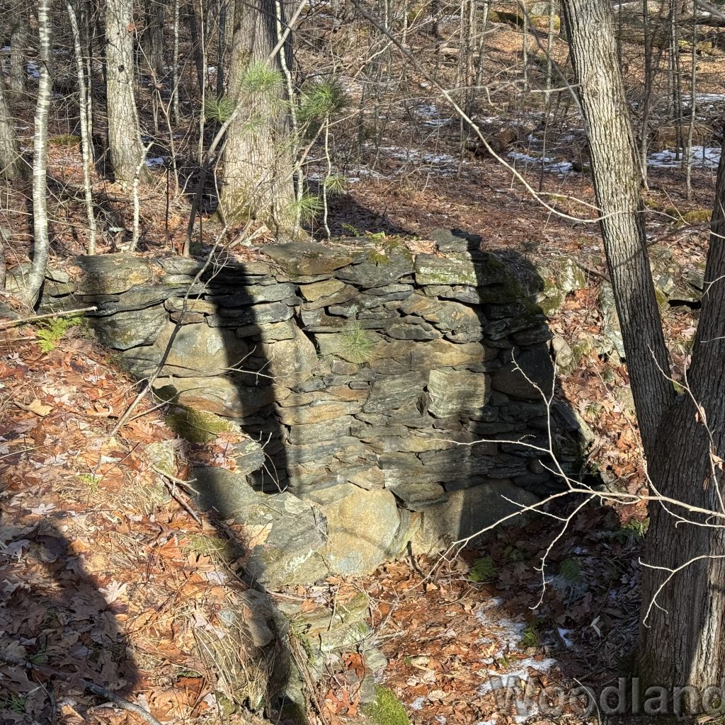 2025-12-20_125339_00