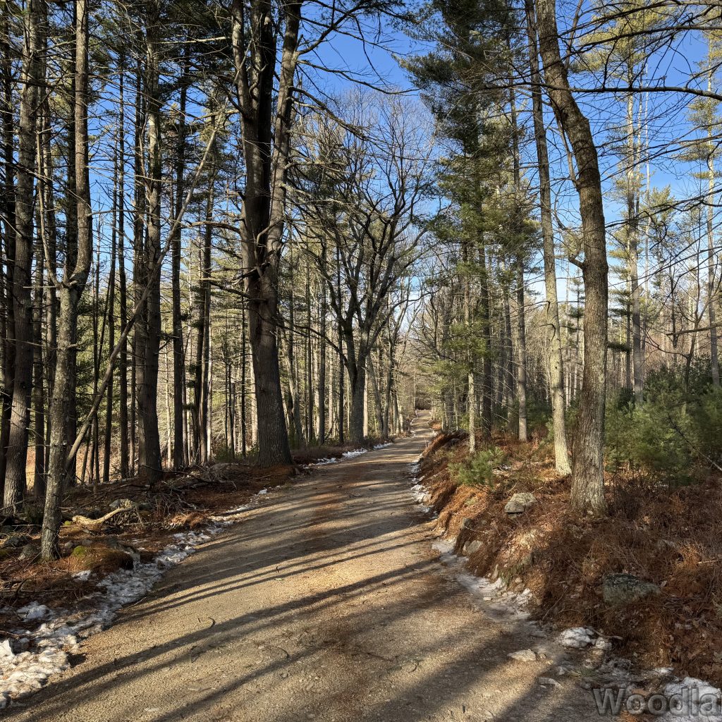 2025-12-20_131441_00