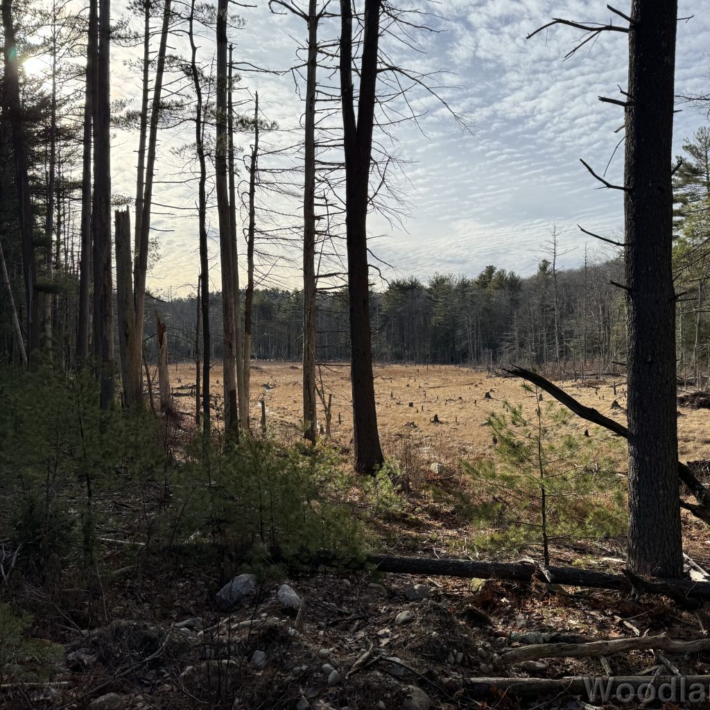 2025-12-20_131545_00