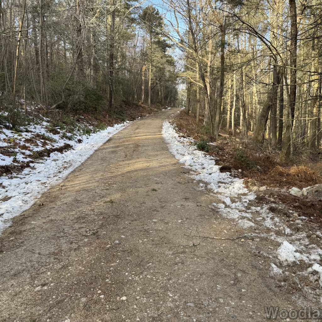 2025-12-20_132210_00