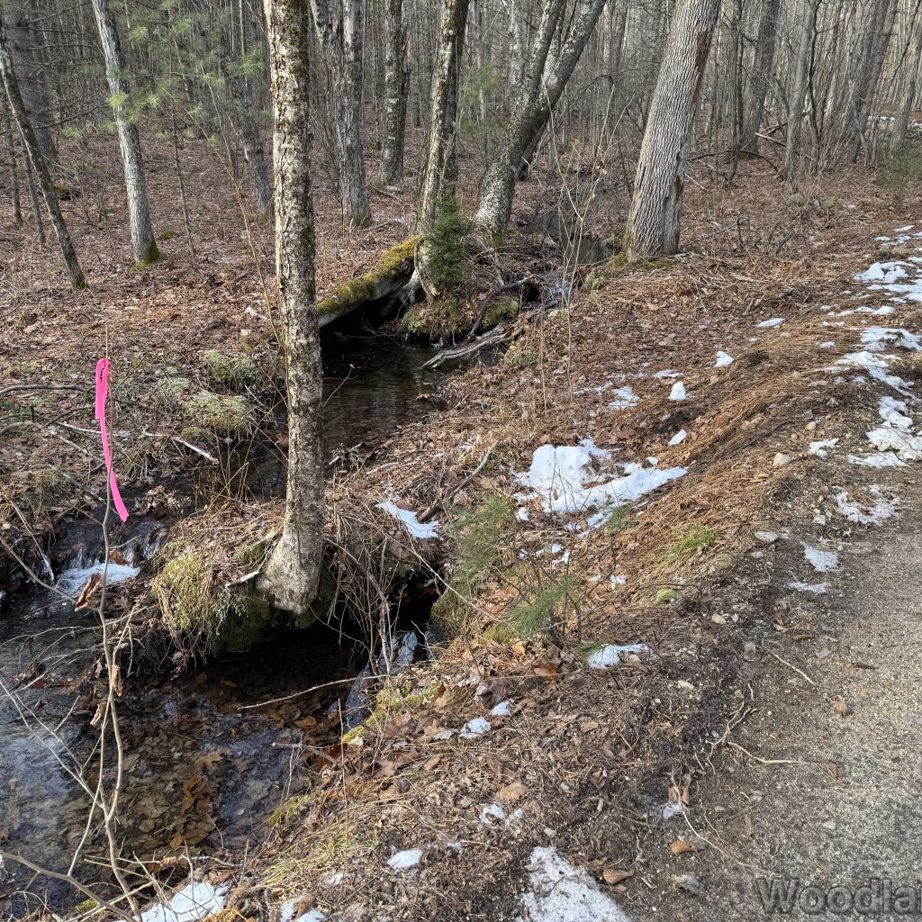 2025-12-20_133336_00