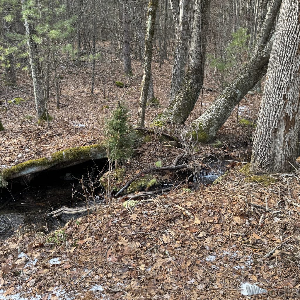 2025-12-20_133354_00