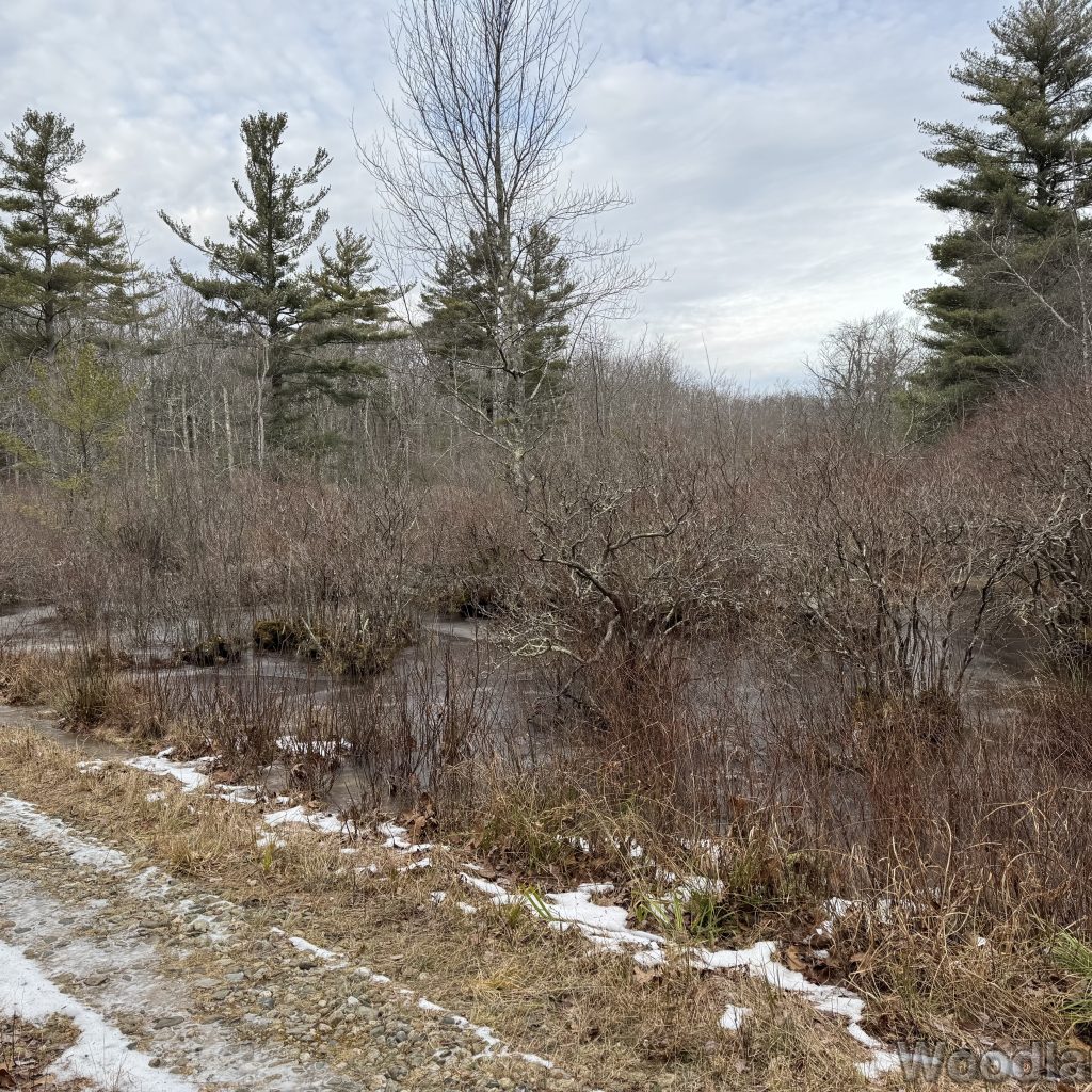 2025-12-20_140117_00