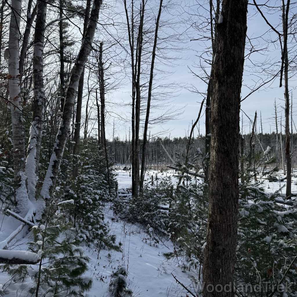 2025-12-28_110151_00