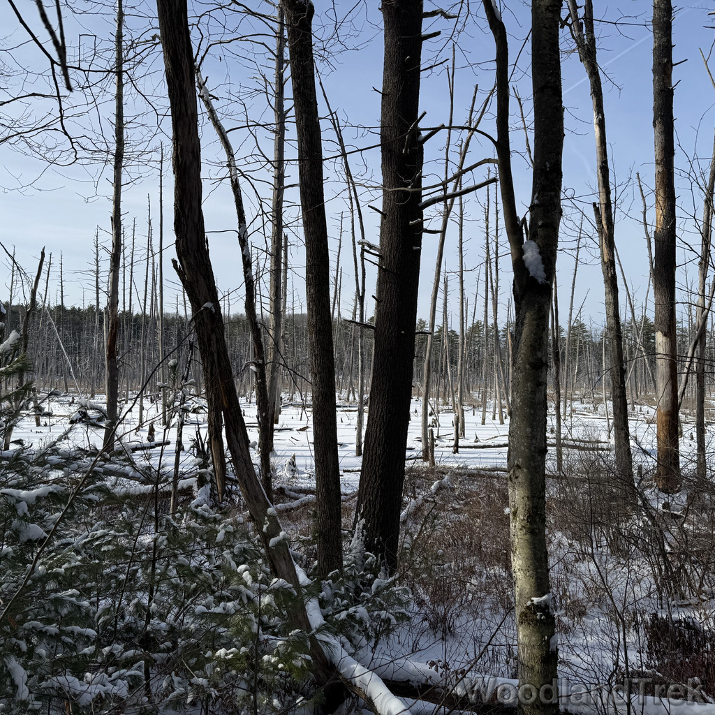 2025-12-28_110155_00