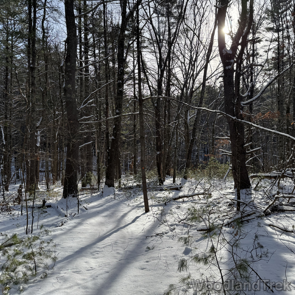 2025-12-28_110819_00