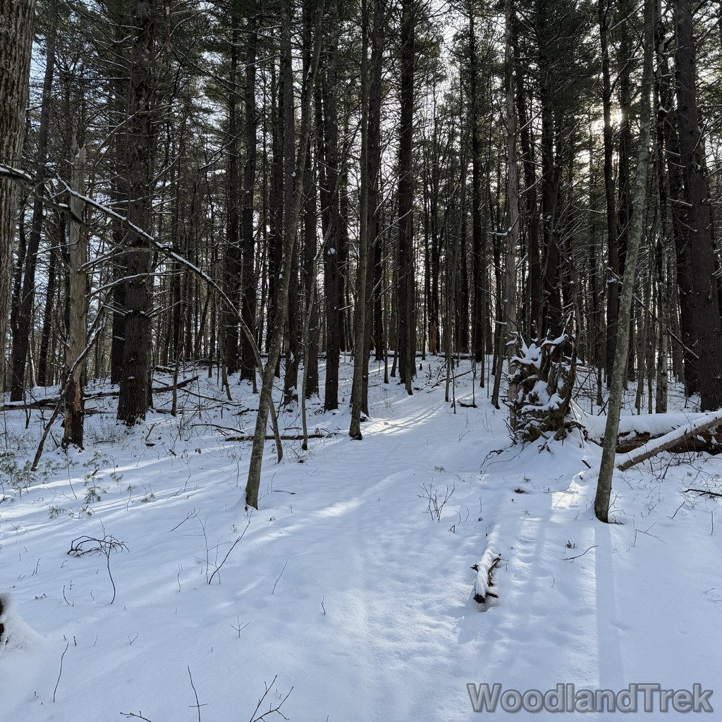 2025-12-28_110952_00