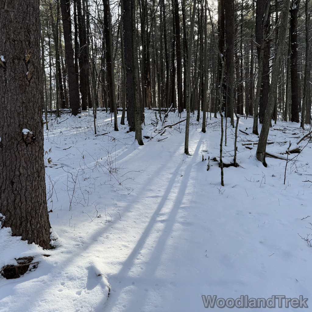 2025-12-28_111027_00