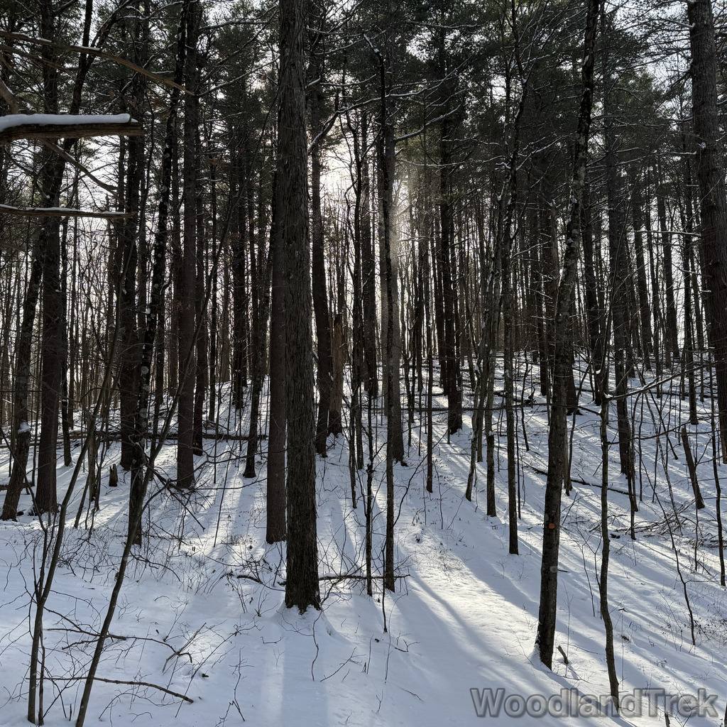 2025-12-28_111123_00