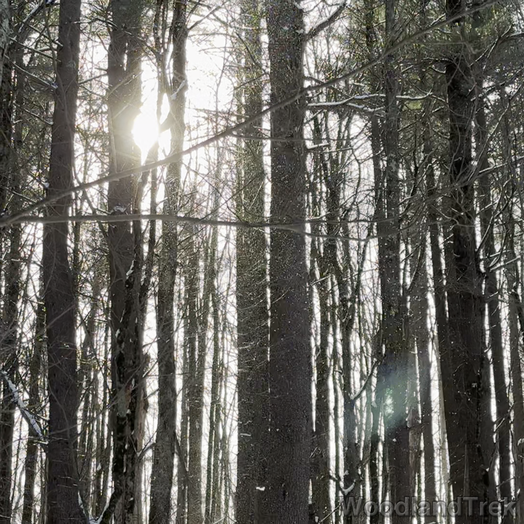 2025-12-28_111137_00