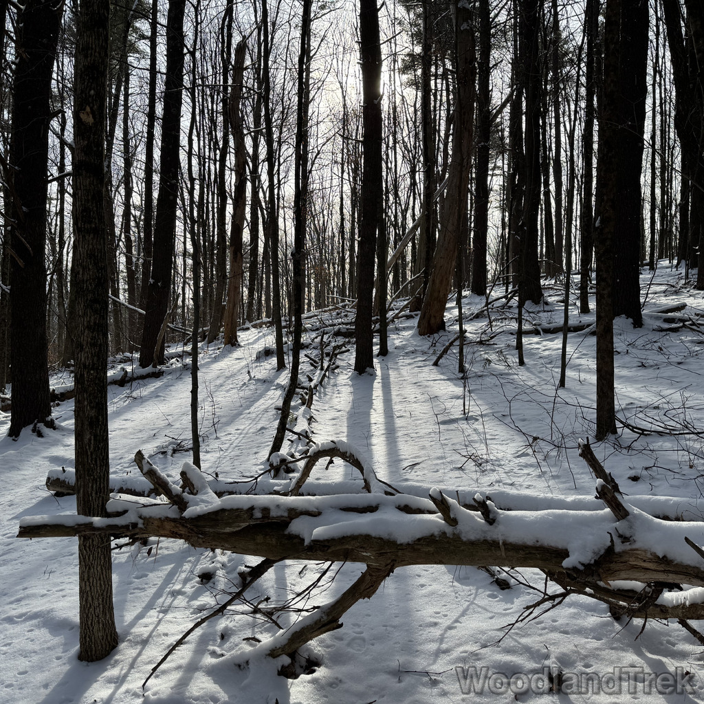 2025-12-28_111247_00