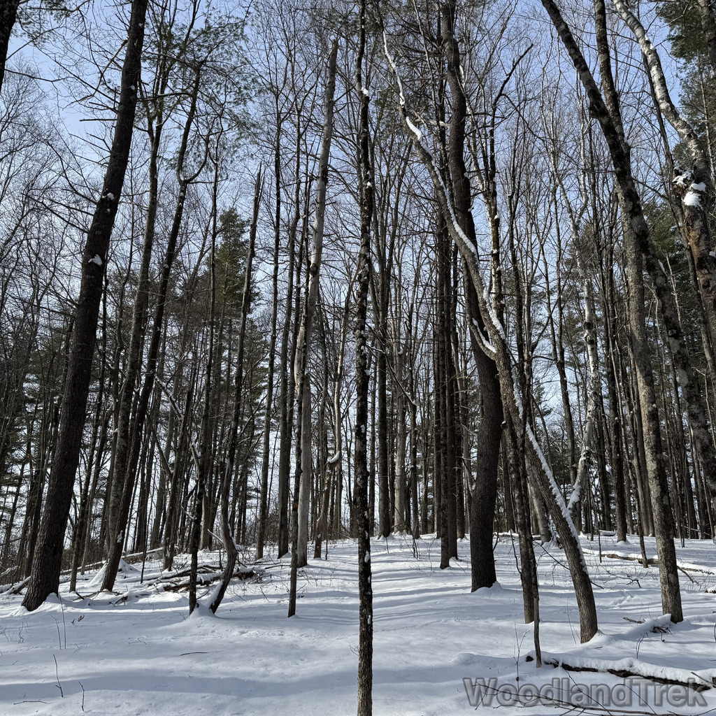 2025-12-28_111408_00