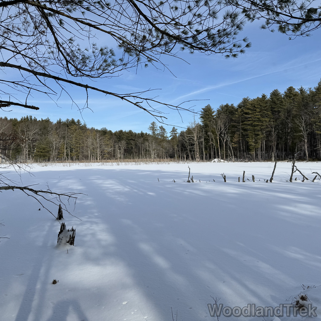 2025-12-28_114606_00