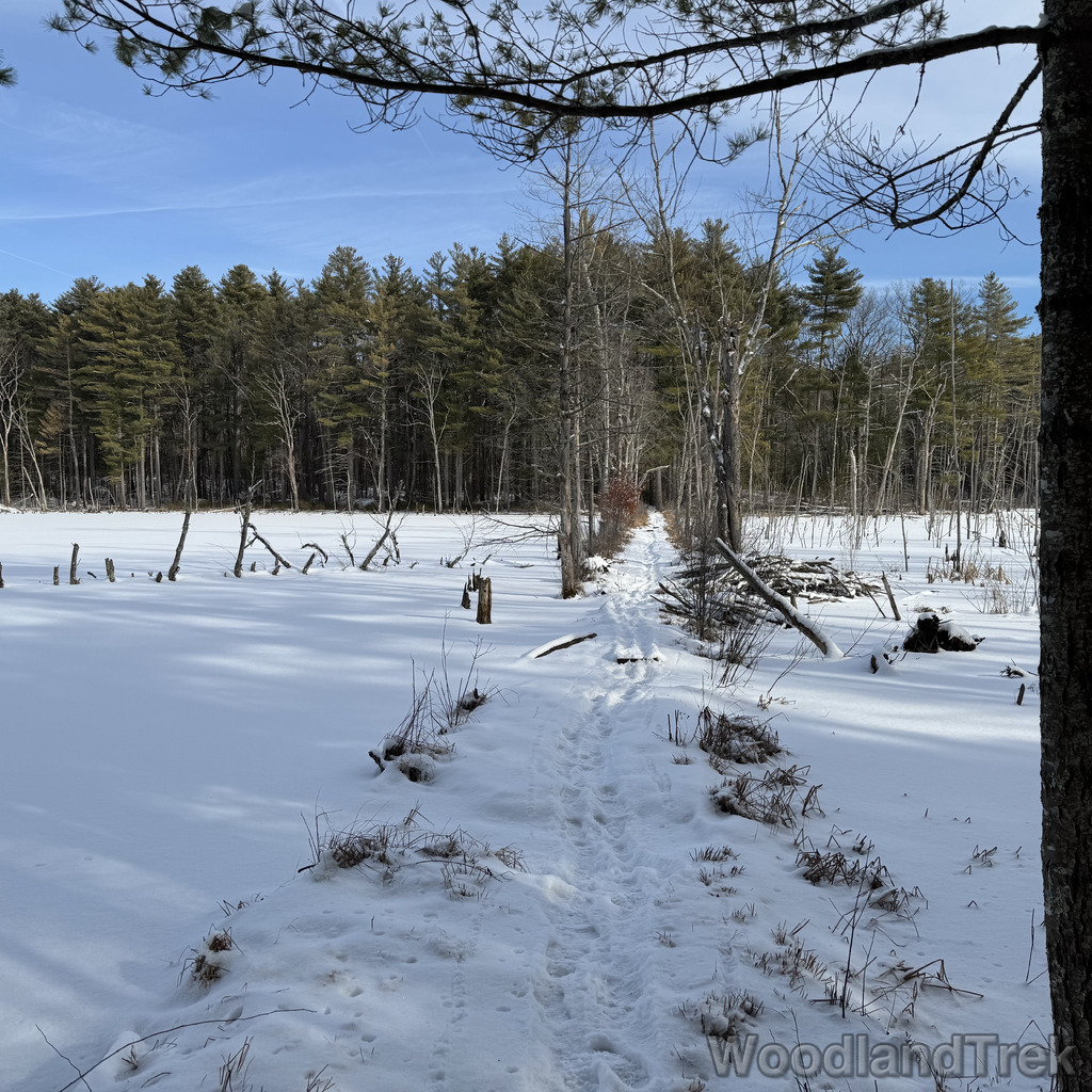 2025-12-28_114609_00