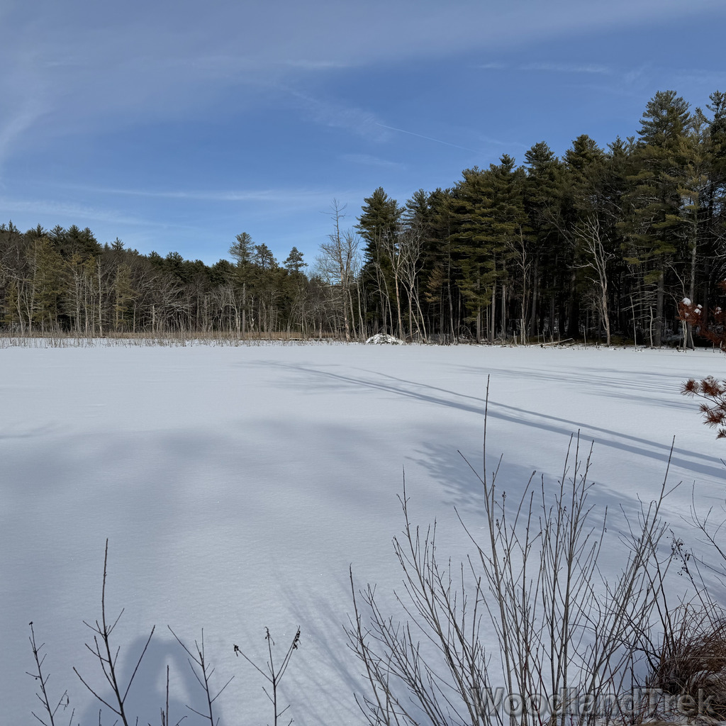 Undisturbed bright white snow covering a frozen pond surrounded by forest