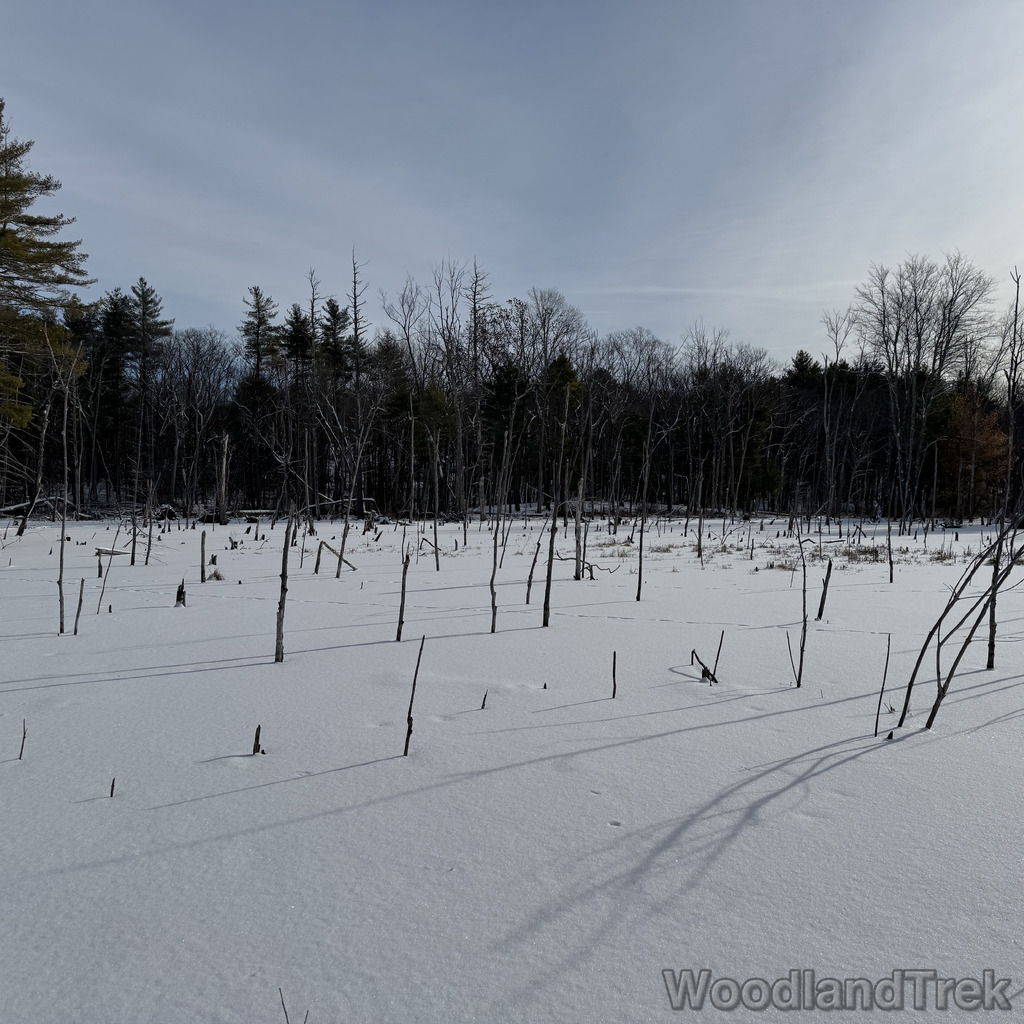 2025-12-28_114827_00