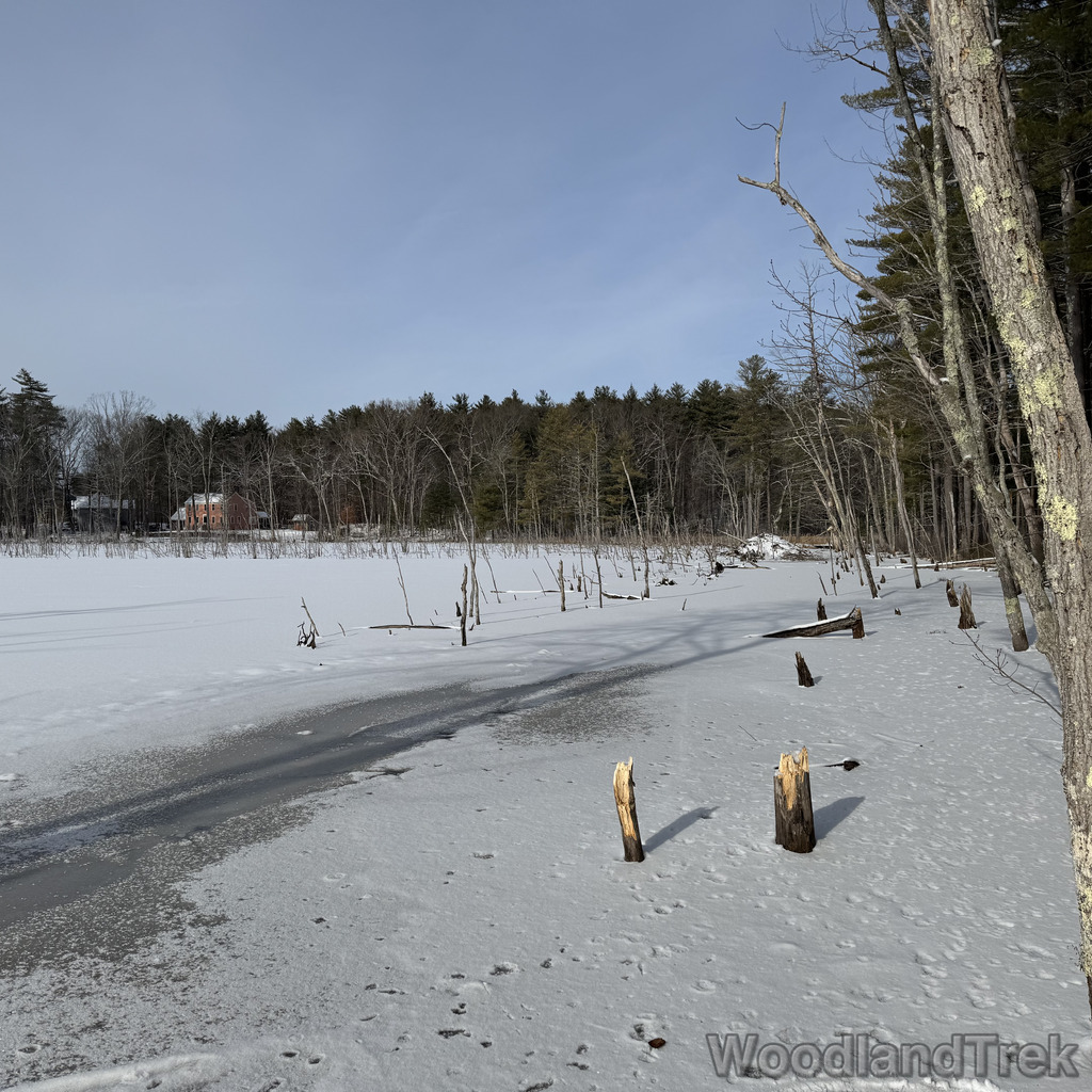 2025-12-28_114933_00