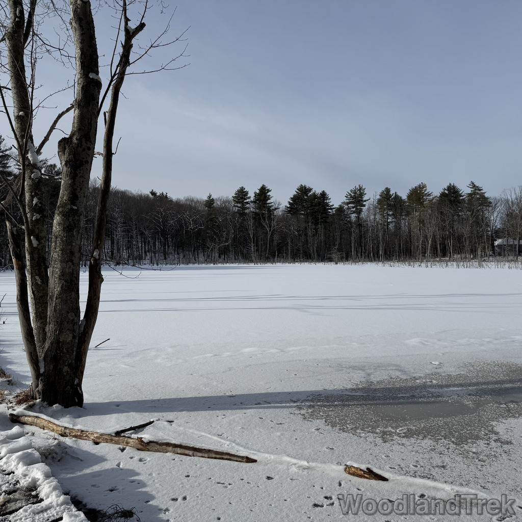 2025-12-28_114941_00