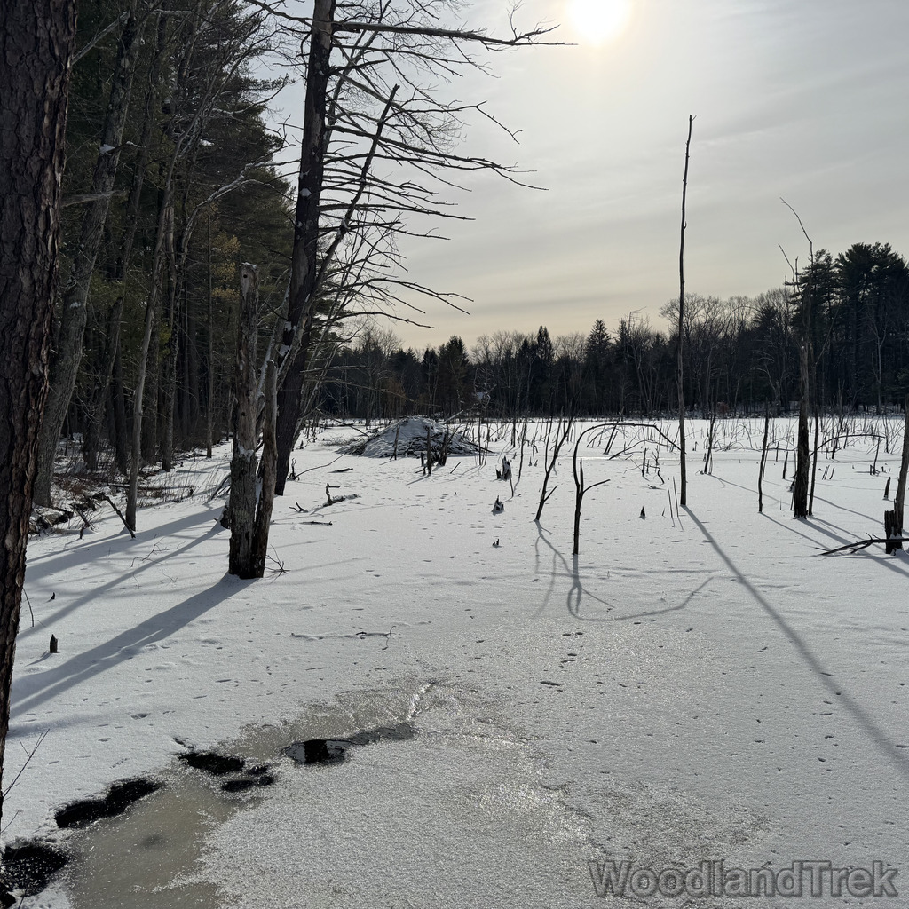 2025-12-28_115254_00