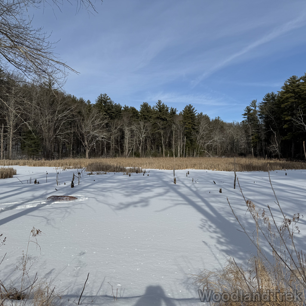 2025-12-28_115302_00