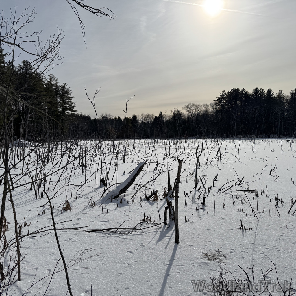 2025-12-28_115408_00