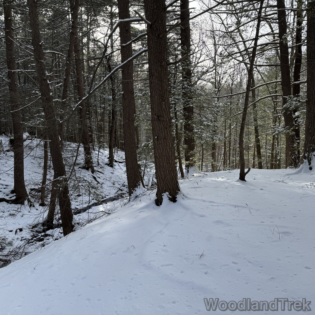 2025-12-28_122907_00