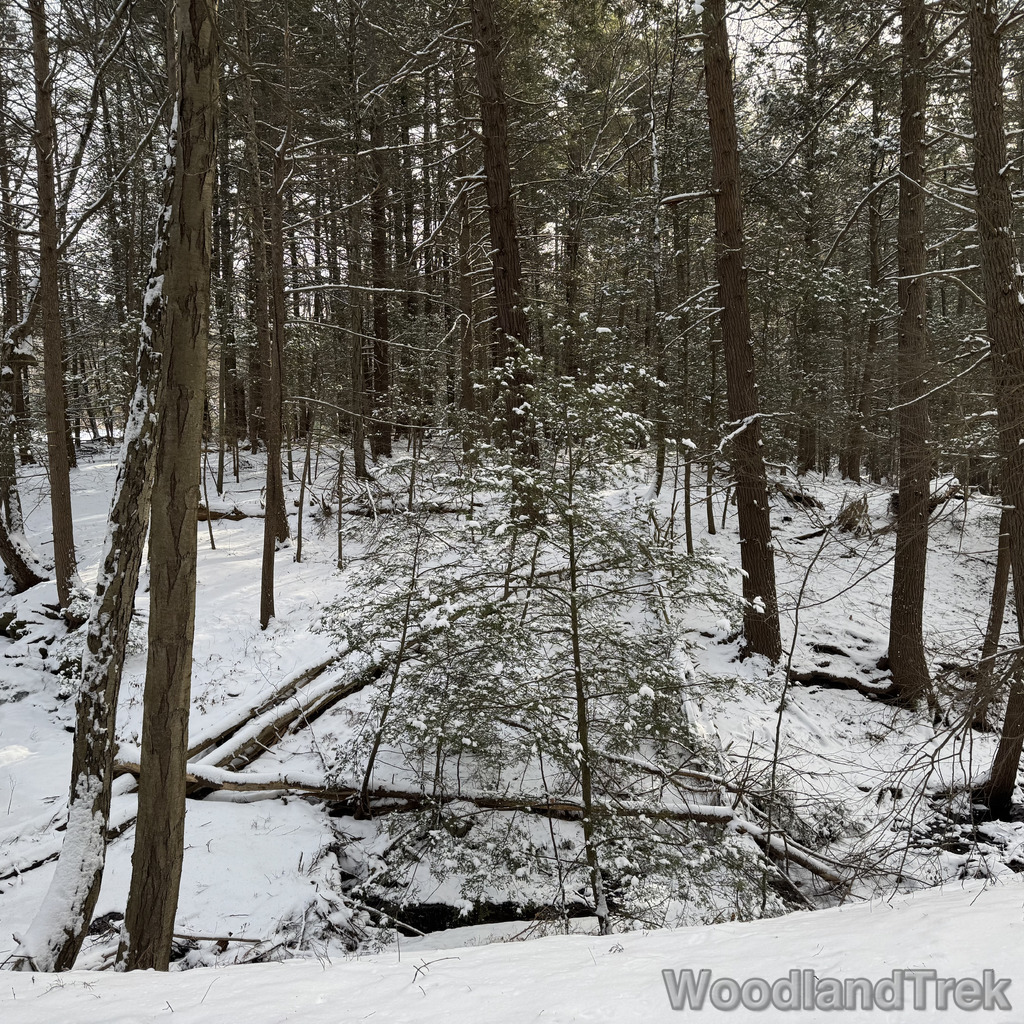 2025-12-28_122914_00