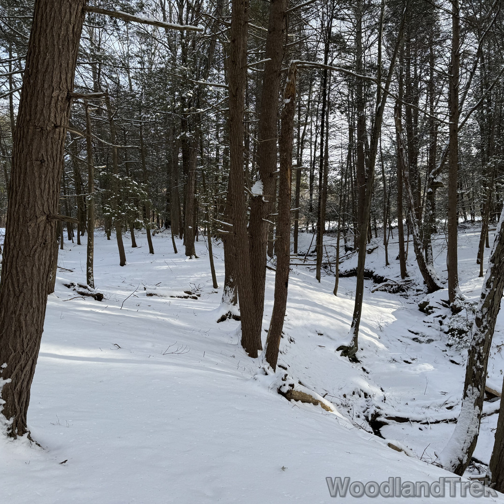 2025-12-28_122919_00