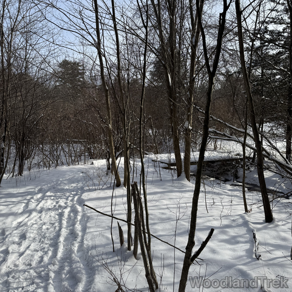 2025-12-28_123107_00