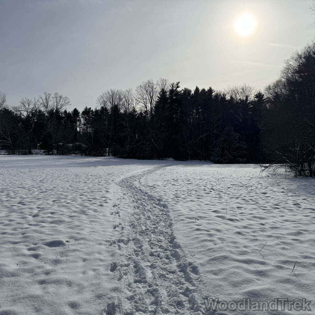 2025-12-28_123146_00