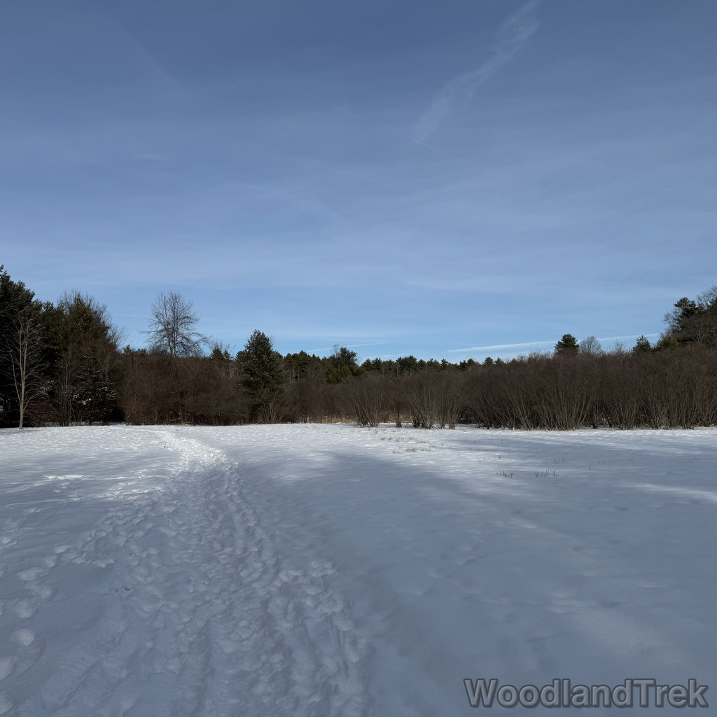 2025-12-28_123305_00