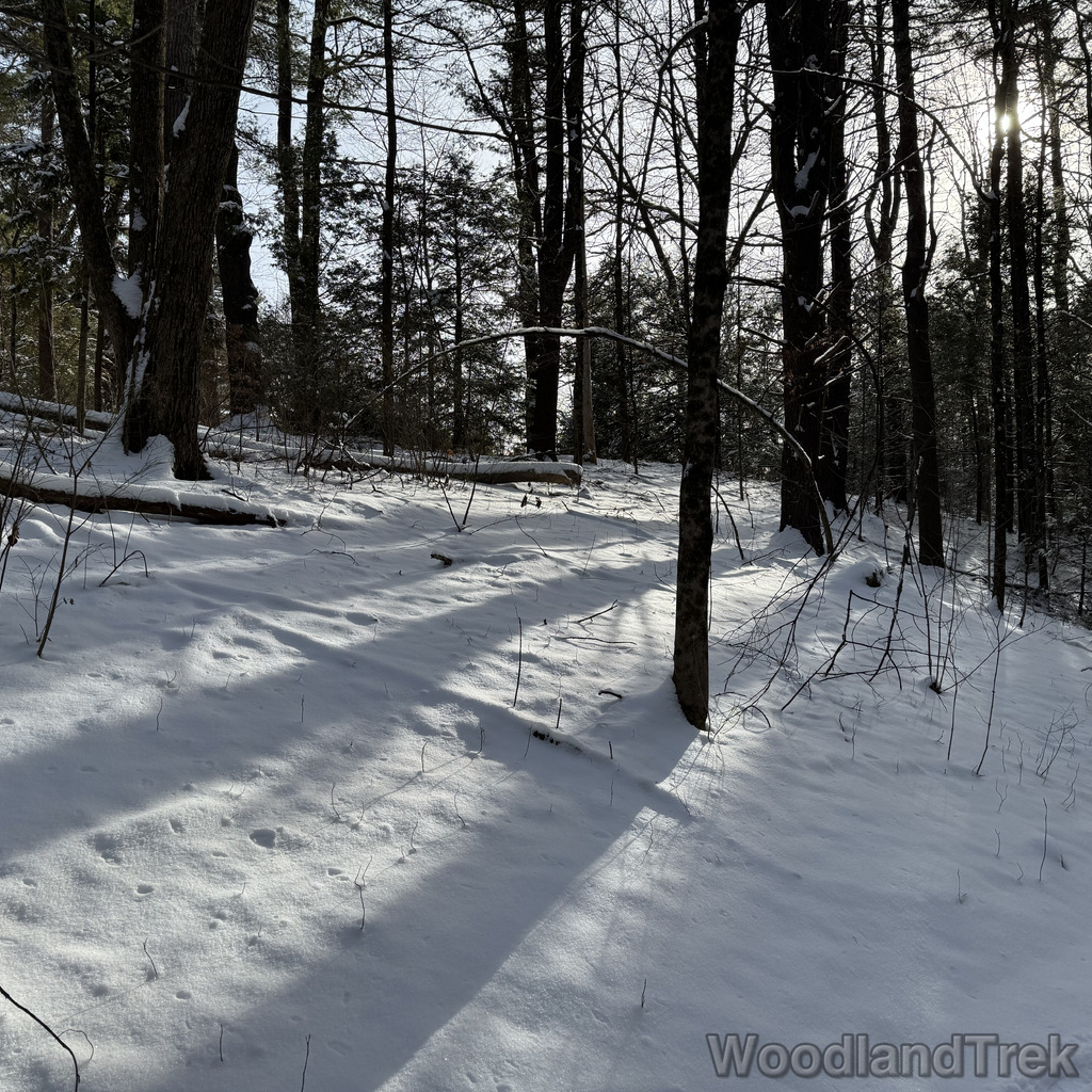 2025-12-28_123720_00