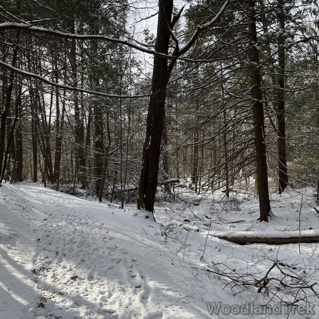 2025-12-28_123812_00