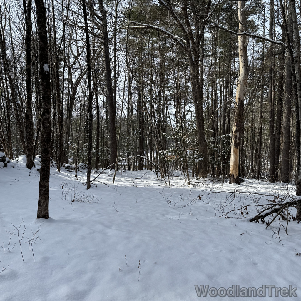 2025-12-28_124120_00