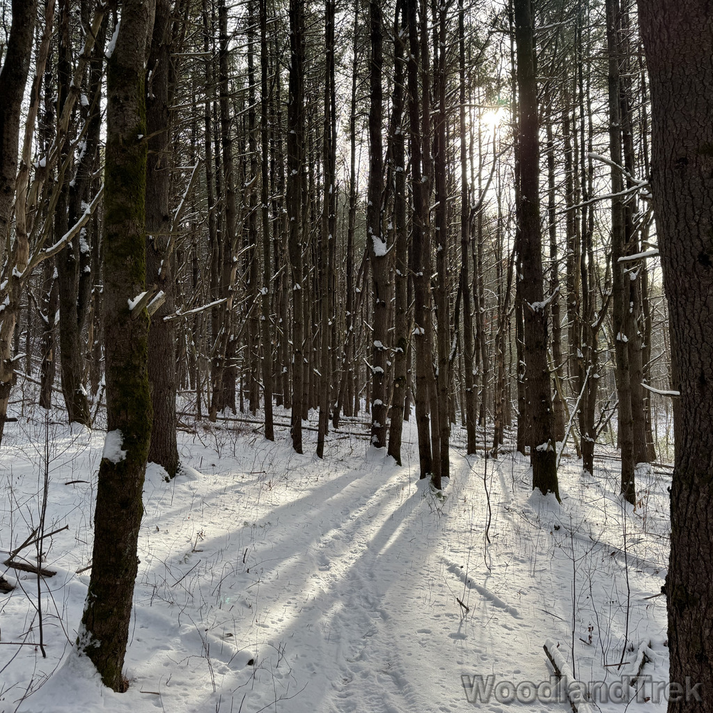 2025-12-28_130327_00