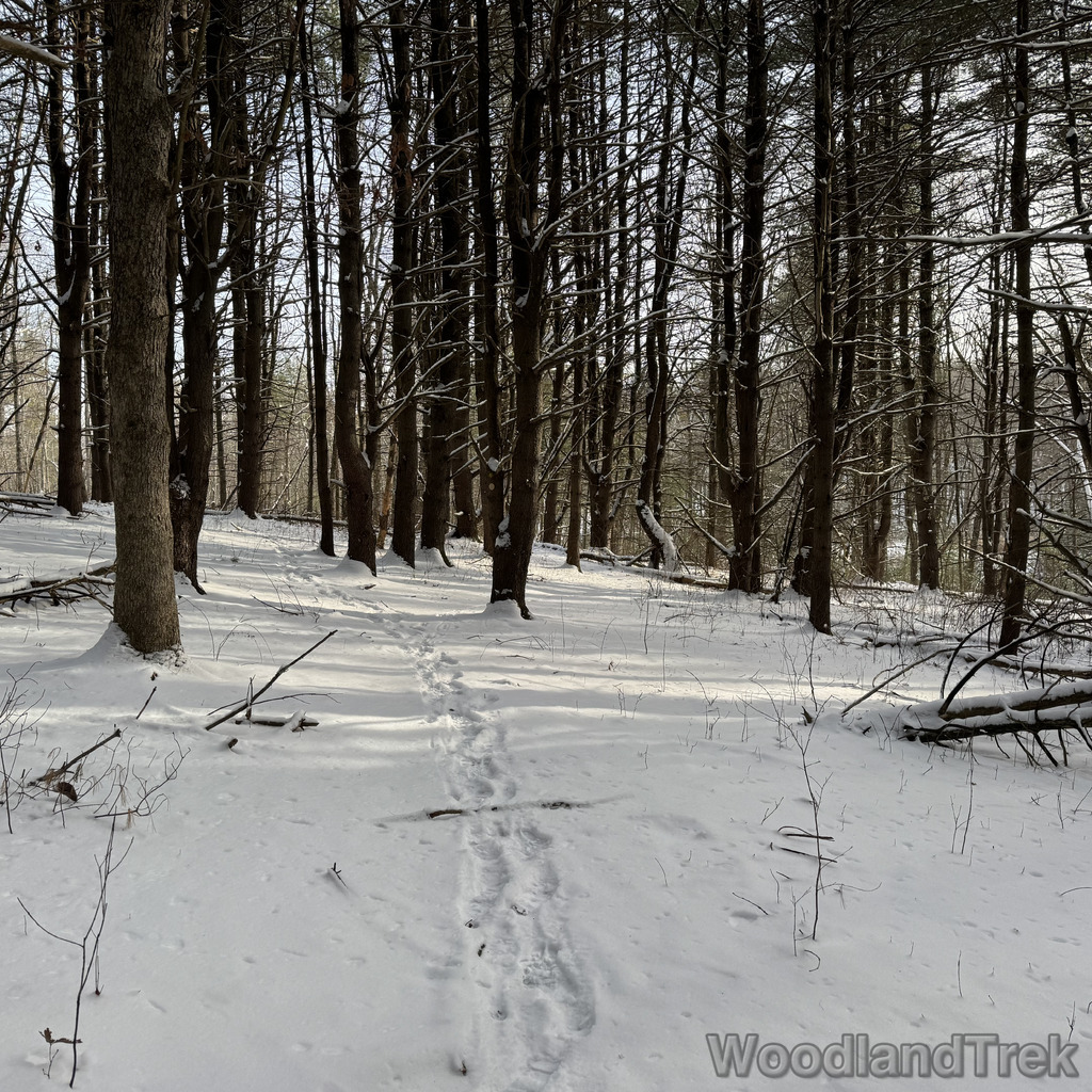 2025-12-28_130750_00