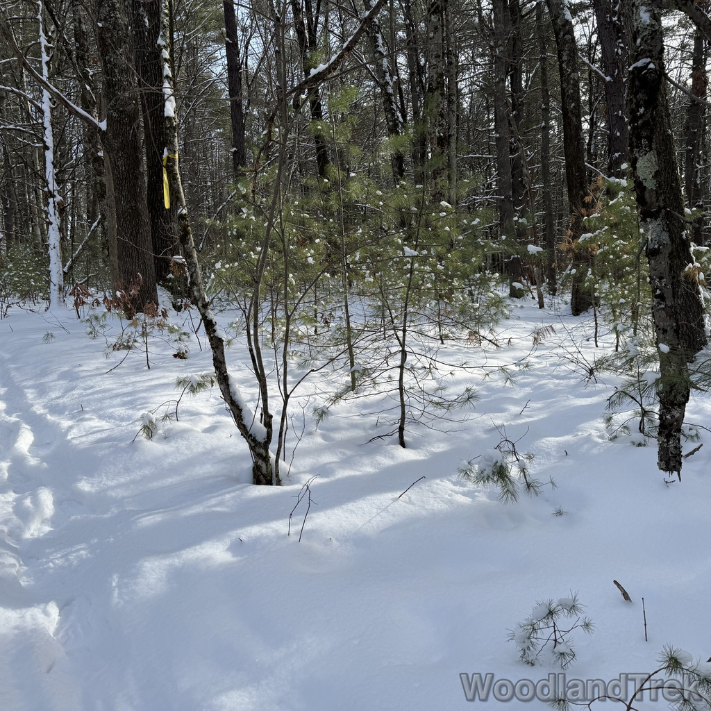 2025-12-28_131411_00