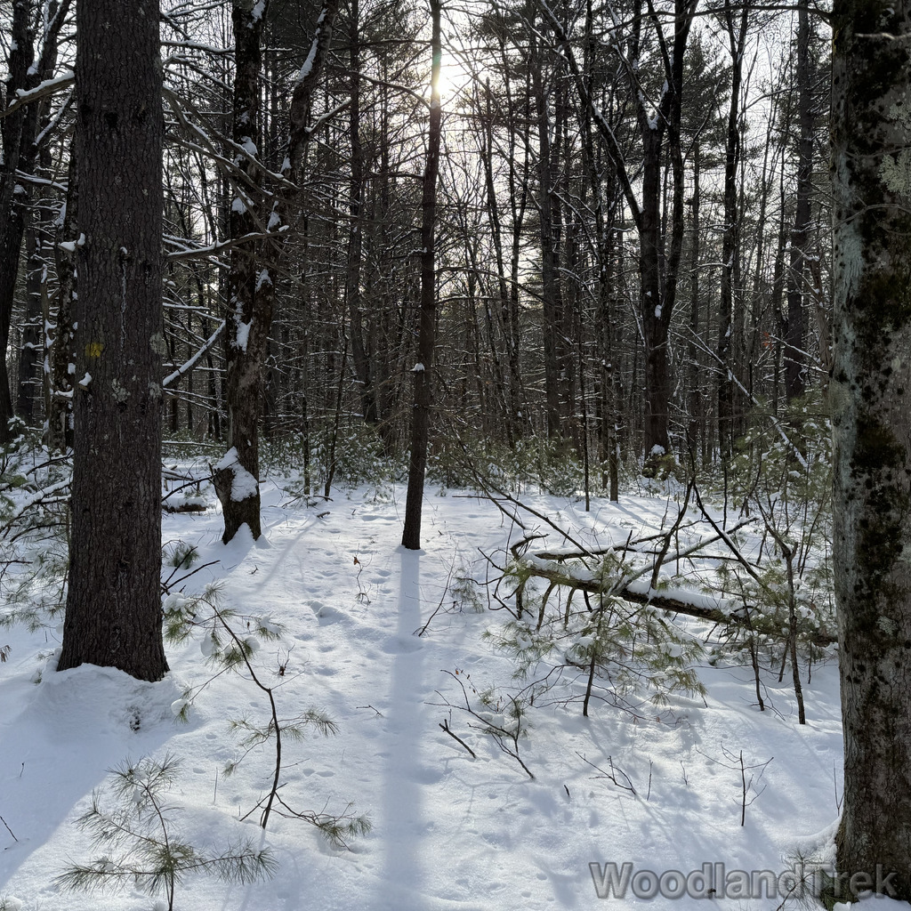 2025-12-28_131515_00