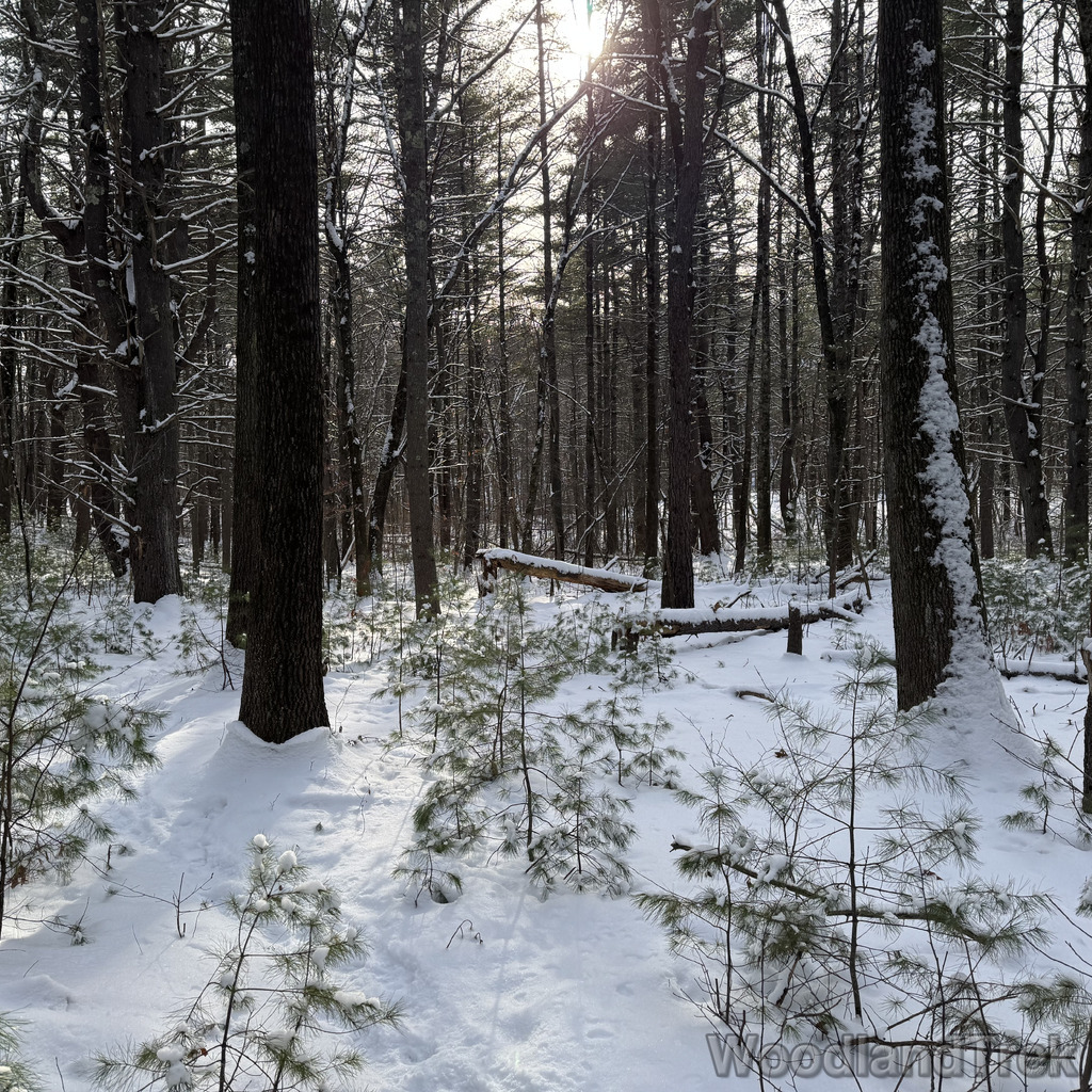 2025-12-28_131555_00