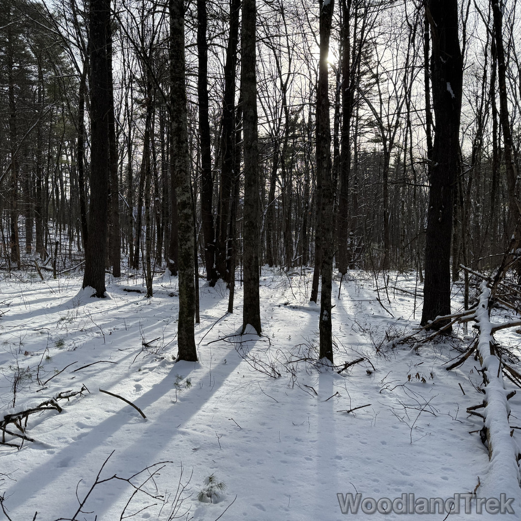 2025-12-28_132539_00