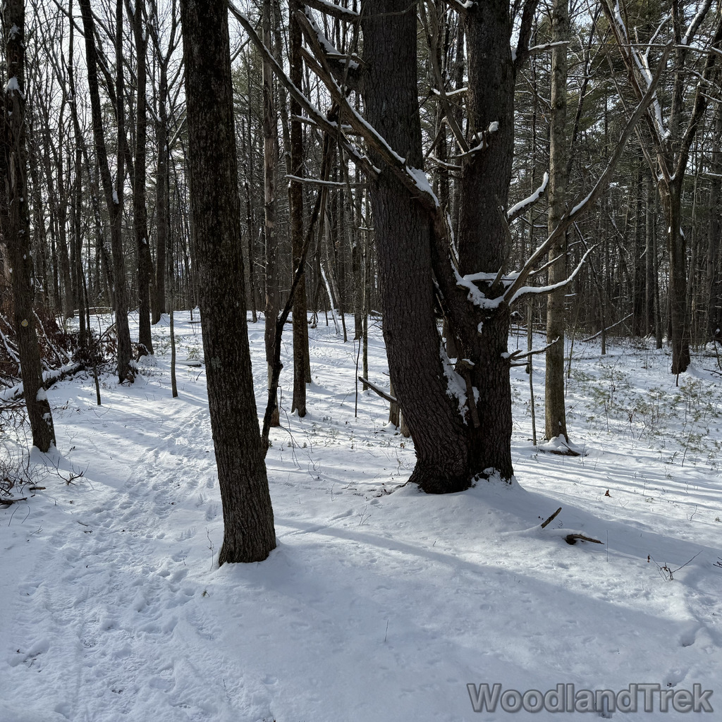 2025-12-28_132547_00