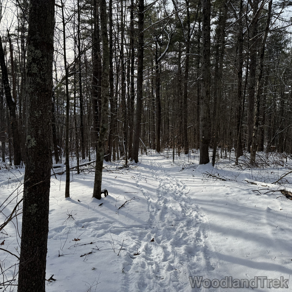 2025-12-28_132705_00