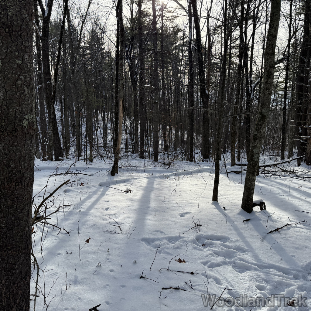 2025-12-28_132712_00