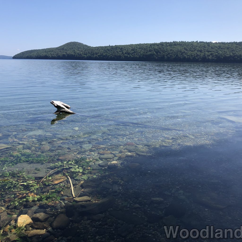 fav_2023-07-23_101701_00