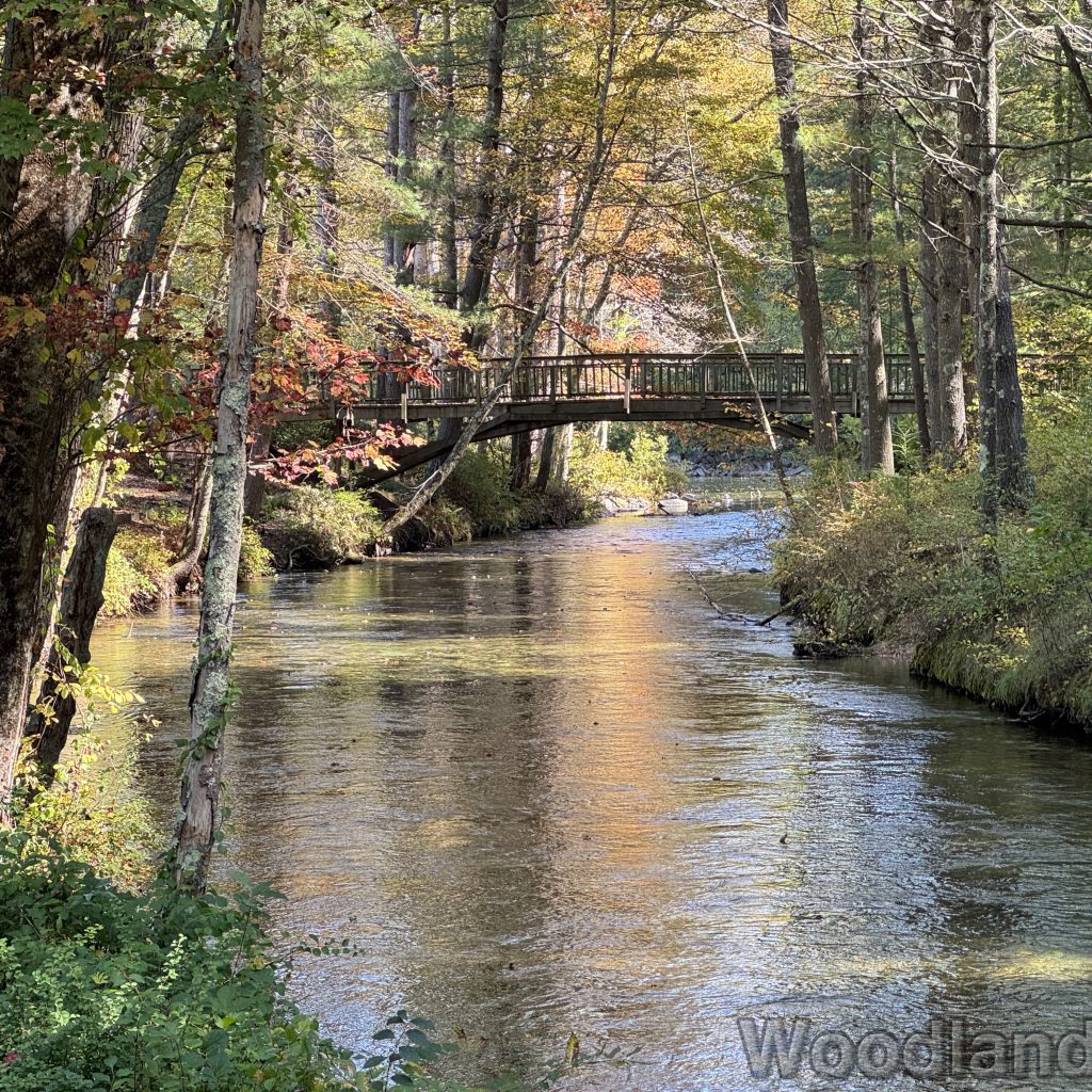 fav_2025-09-28_122222_00