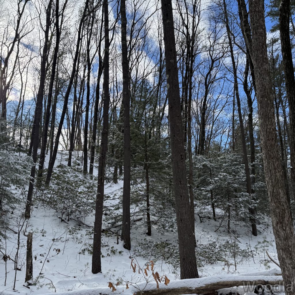 2026-01-01_112901_00